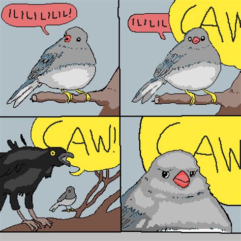 Annoying Bird Meme Template